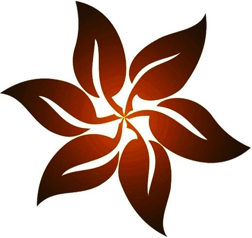 NIUE Vanilla International